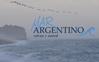 Ferias Internacionales 2025